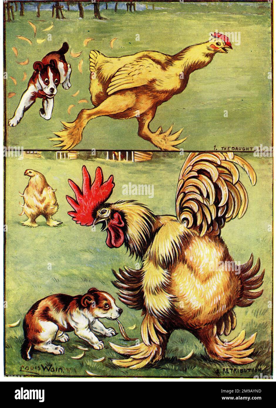 The Daughter, Retribution Puppy chasing Chicken by Louis Wain Stock Photo