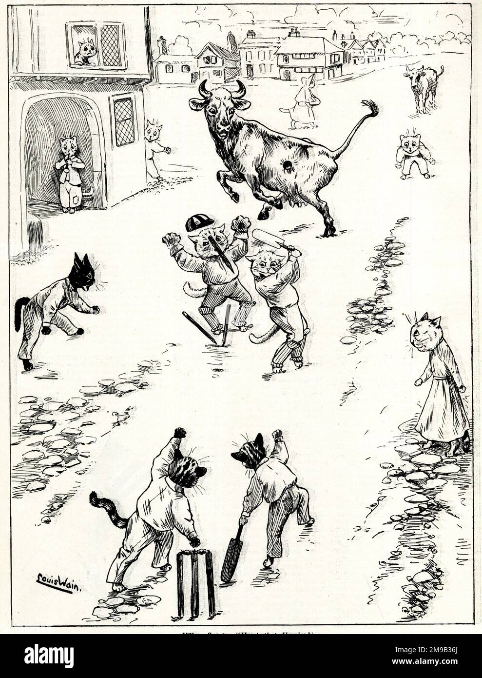 Village Sports, Howzat Umpire, Comical Cats playing Cricket by Louis Wain Stock Photo