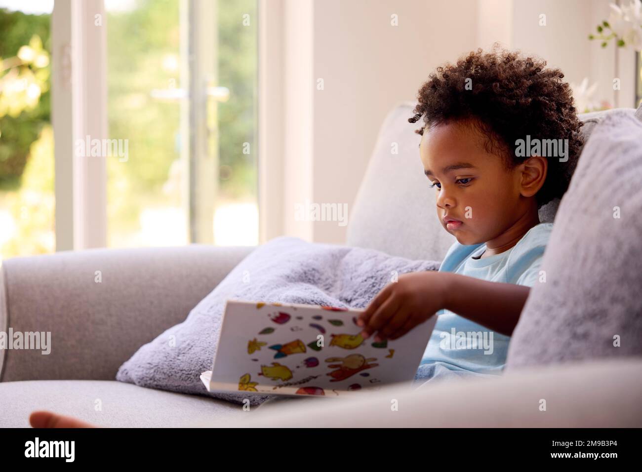 Young Boy Reading Book Sitting On Sofa At Home Stock Photo