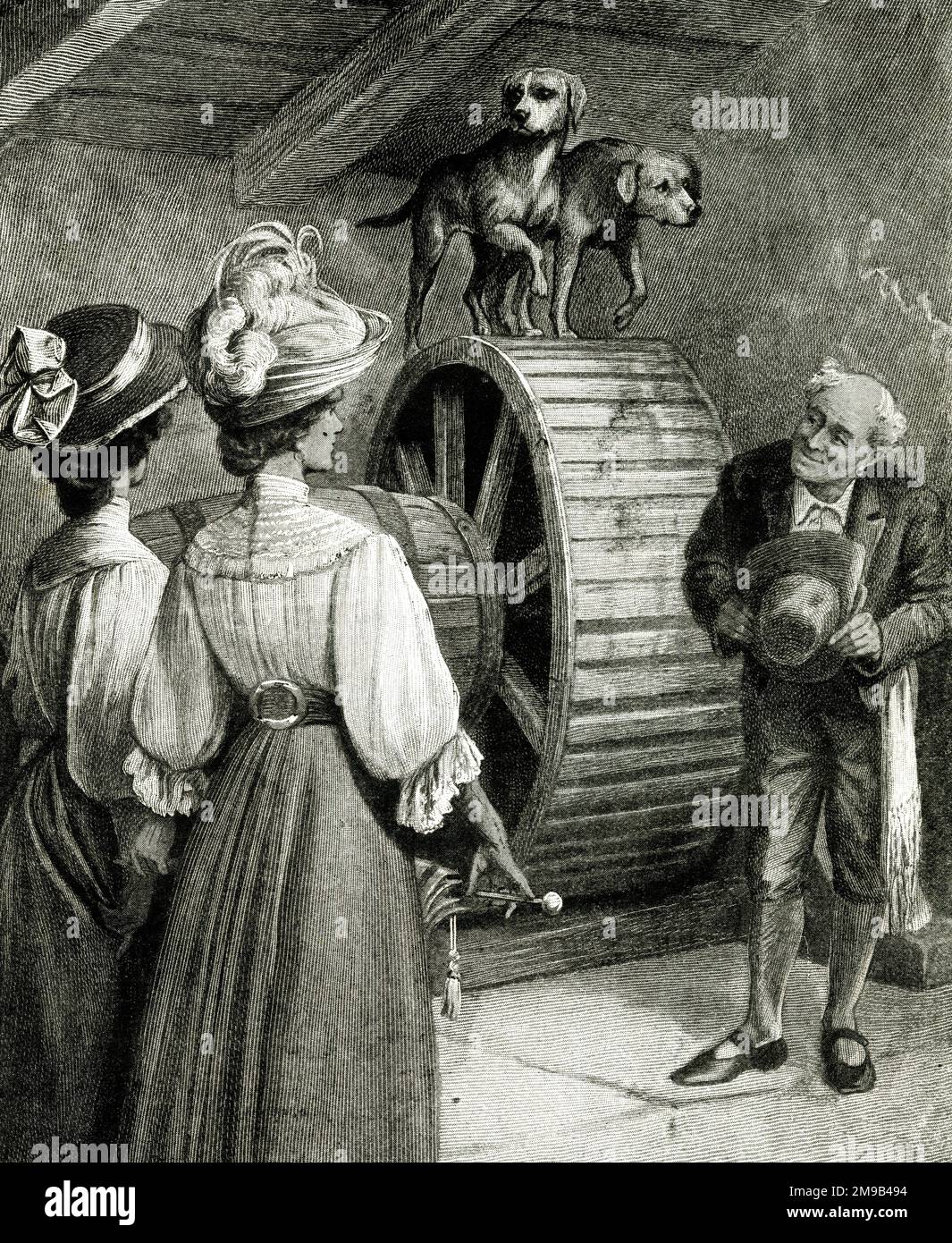 Churning Butter, Dog Wheel, Isle of Capri, Italy Stock Photo Alamy