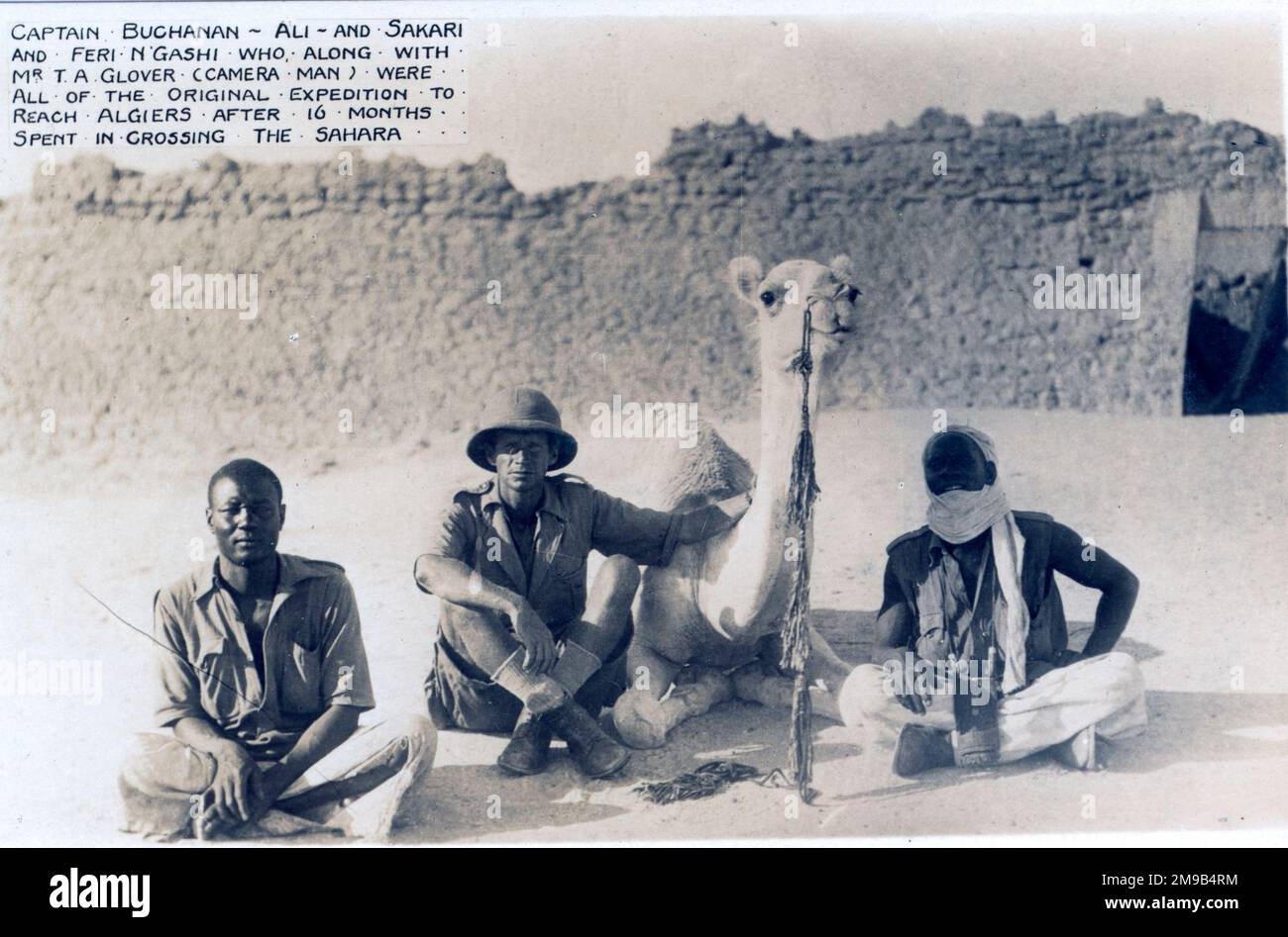 This scene is from a journey across the Sahara taken by Lt D.R.G. Cameron of the Royal Scots. It shows Buchanan, Ali, Sakari the camel and Feri N'Gashi. They were accompanied by T A Glover the cameraman. The picture, taken in Algiers, is of the remnants of the expedition. Stock Photo
