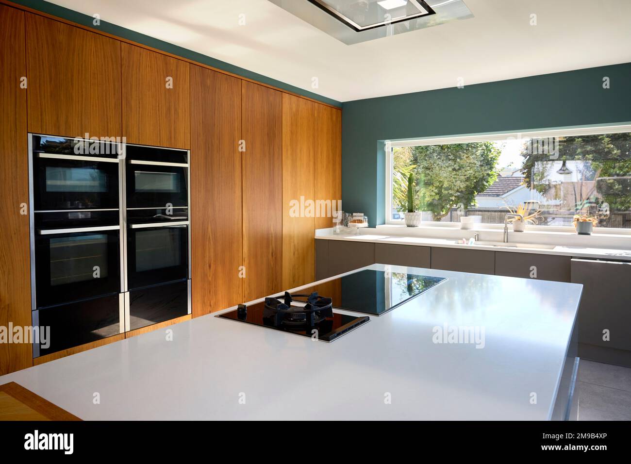 Kitchen And Counter With Built In Appliances In Modern House Stock ...