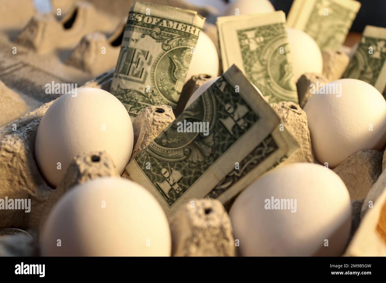 Eggs and cash in an egg carton to show inflation costs and effect on