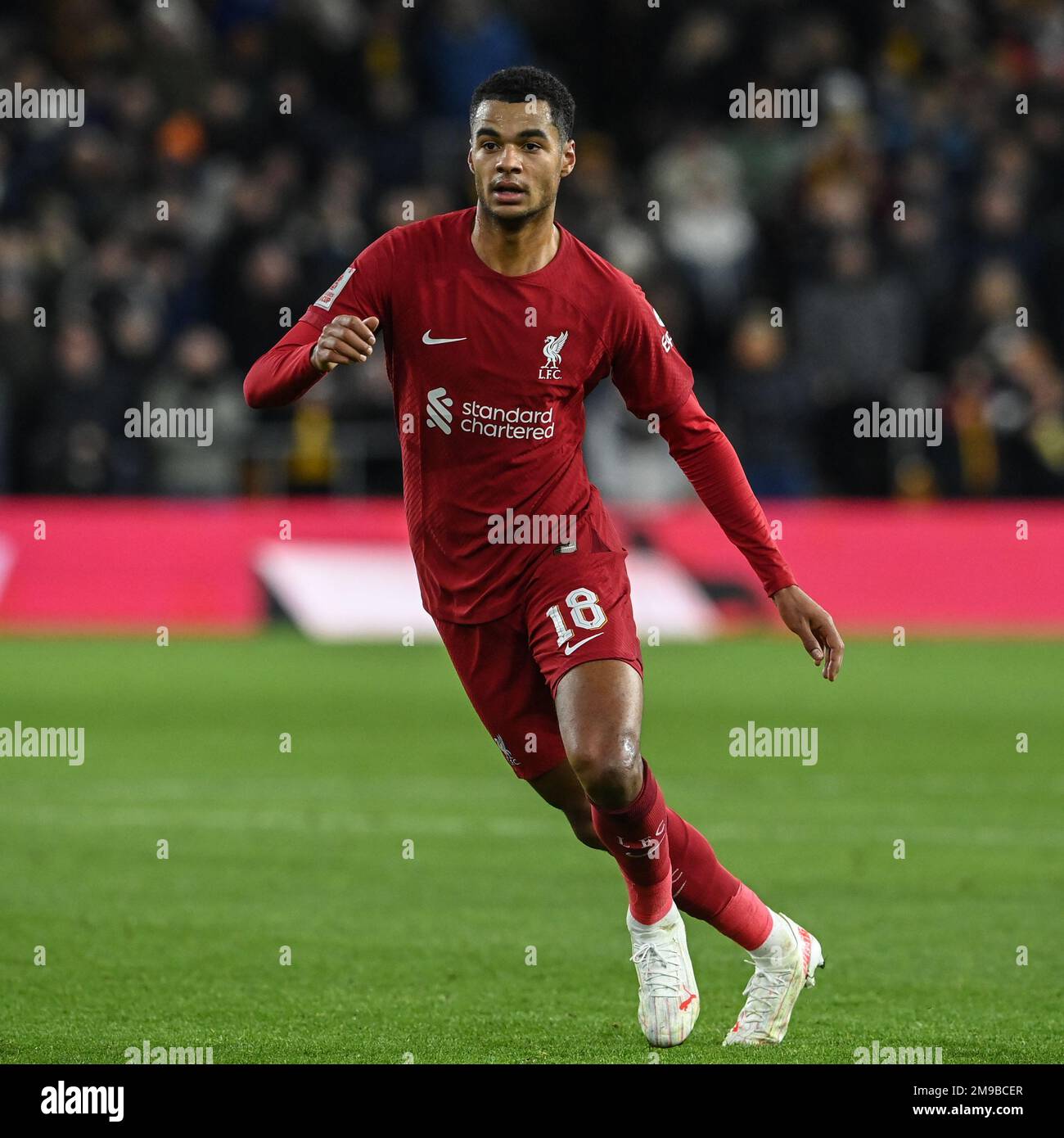 Cody Gakpo #18 of Liverpool during the Emirates FA Cup Third Round Replay match Wolverhampton Wanderers vs Liverpool at Molineux, Wolverhampton, United Kingdom, 17th January 2023  (Photo by Craig Thomas/News Images) Stock Photo