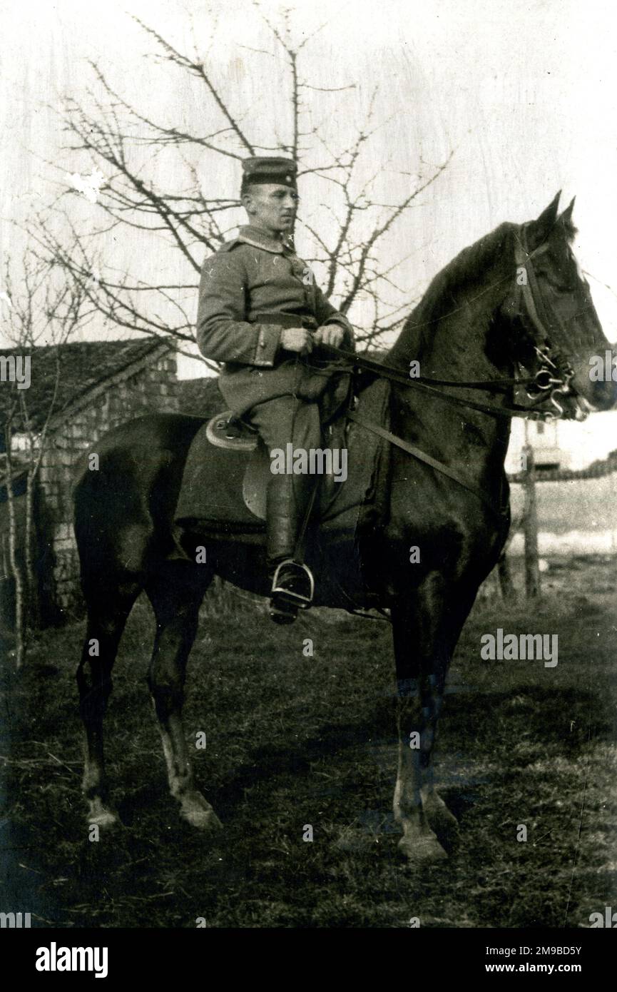 German soldier on horseback, November 1914, WW1 Stock Photo Alamy
