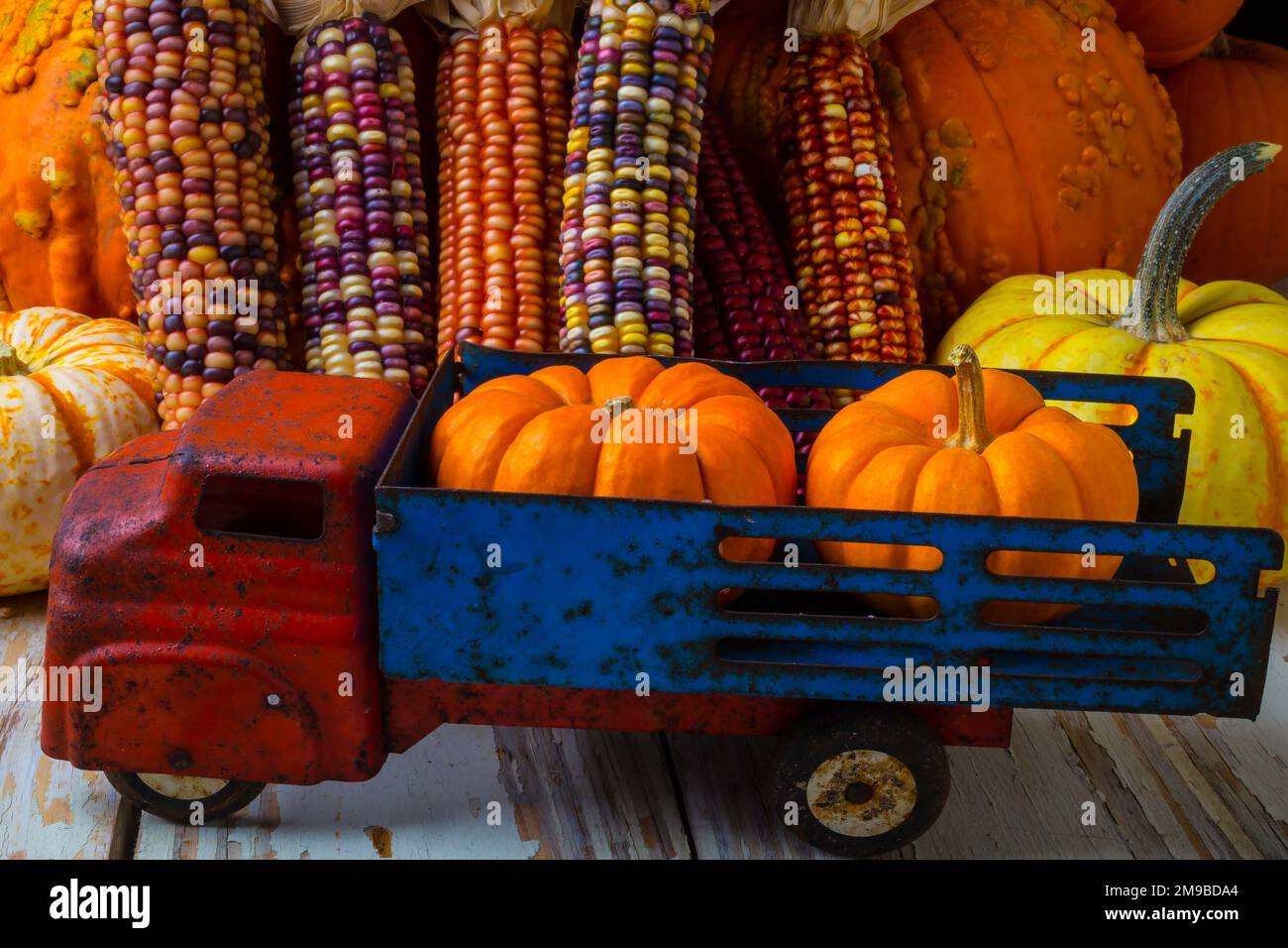 Toy Truck And Pumpkins Stock Photo