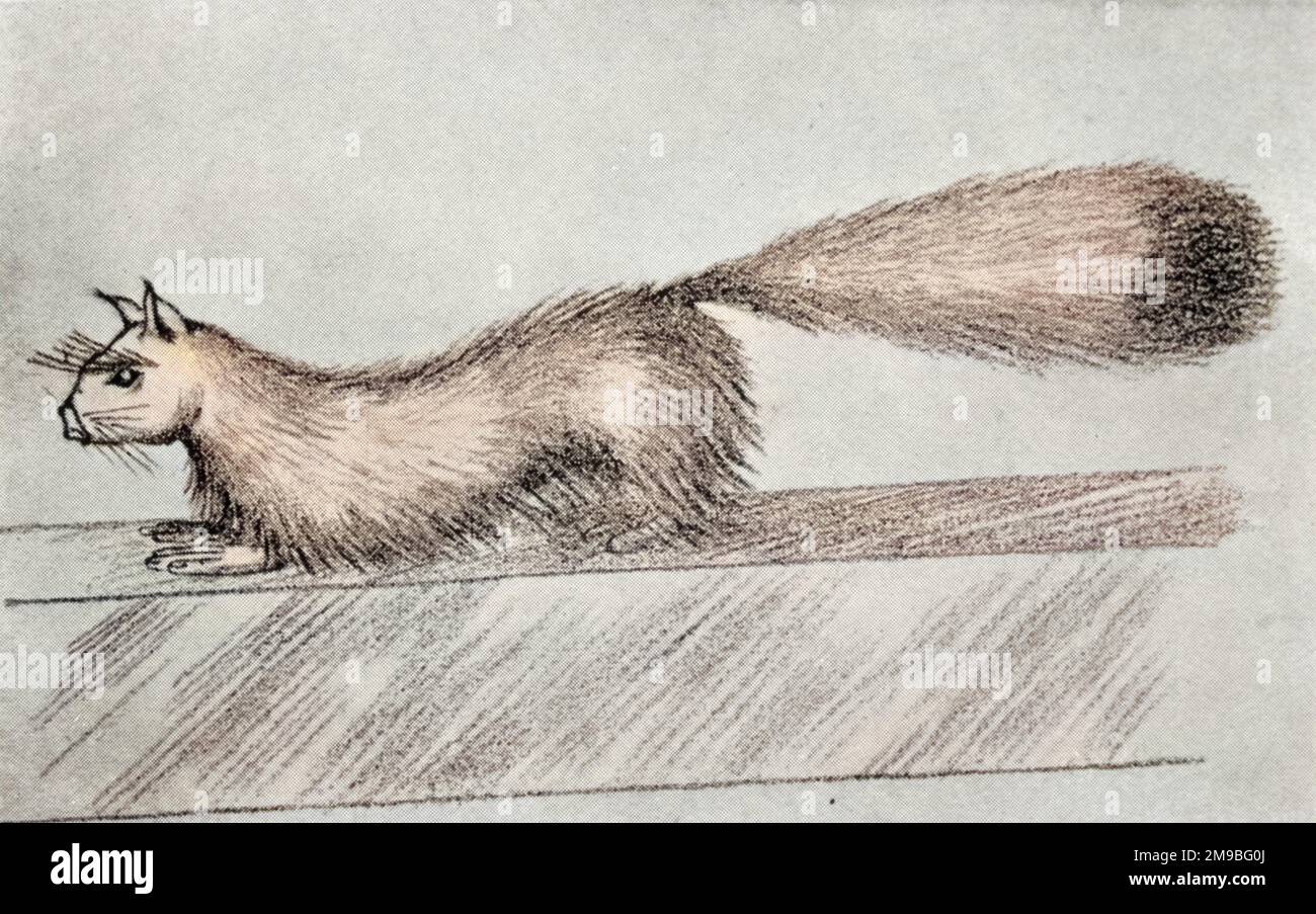 Artist's impression of 'Gef' the so-called 'talking mongoose' which befriended Voirrey Irving, a 17-year old girl from the Isle of Man Stock Photo