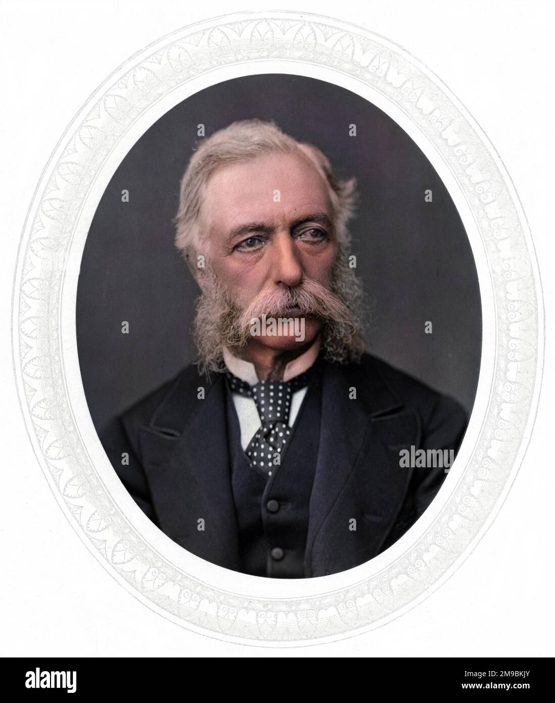 SIR DANIEL LYSONS (1816 - 1898), Military commander Stock Photo - Alamy