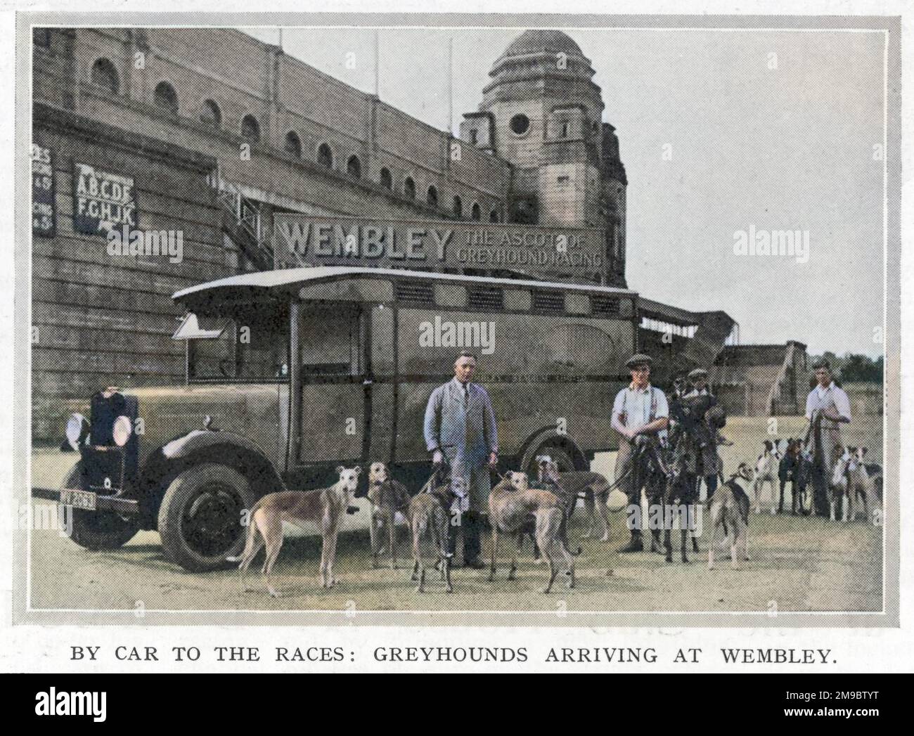 Greyhound arriving at Wembley after being transported in a Commer Centaur, with a well sprung chassis for added comfort. Stock Photo