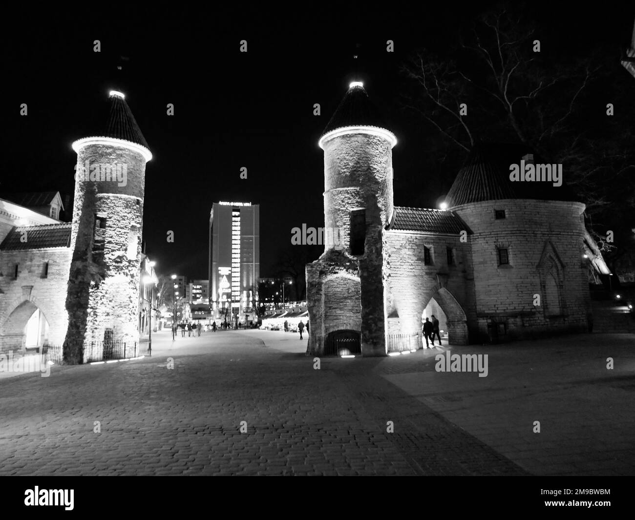 Tallinn old city at night Stock Photo