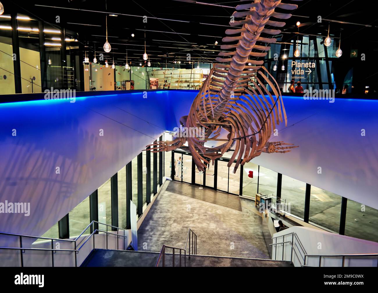 Barcelona, Spain, May. 2018 Interior view of Museum of Natural