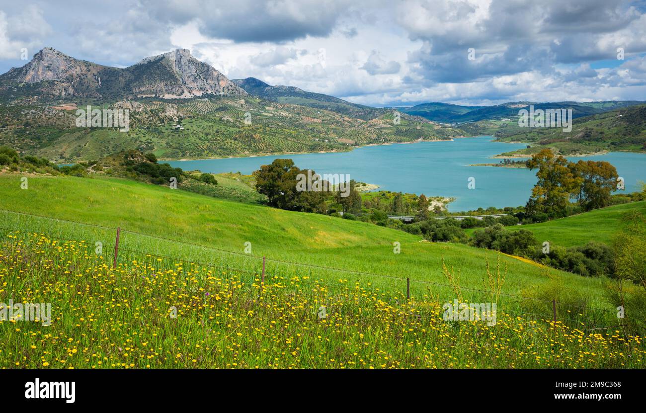 Zahara de la sierra flowers hi-res stock photography and images - Alamy