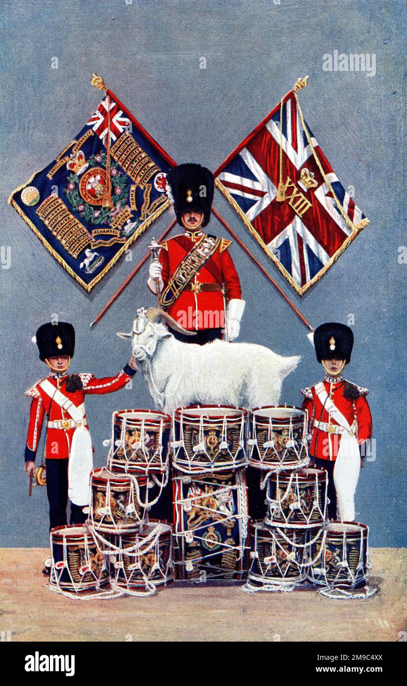 Colours, Drums and Goat Mascot of the Royal Welsh Fusiliers Stock Photo