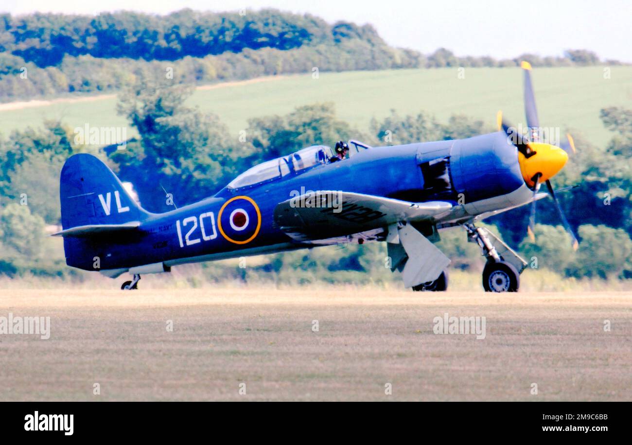 Hawker Sea Fury T.20 G-RNHF / VX281, of the Royal Navy Historic Flight. Stock Photo