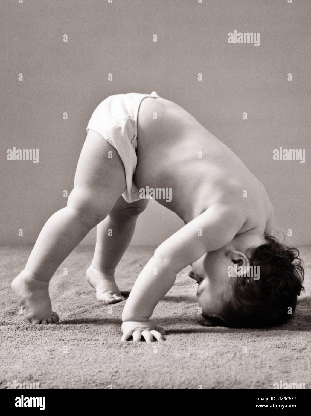 1940s BABY ON TIPTOES HEAD TOUCHING THE FLOOR LOOKING BACK TO FEET BABY YOGA DOWNWARD DOG POSE WEARING JUST UNDERPANTS - b20205 HAR001 HARS INFANT LIFESTYLE FEMALES WINNING STUDIO SHOT HOME LIFE COPY SPACE FULL-LENGTH PHYSICAL FITNESS JUST CONFIDENCE B&W BRUNETTE ACTIVITY HUMOROUS PHYSICAL UNDERPANTS FLEXIBLE STRENGTH RECREATION COMICAL DIRECTION COMEDY FLEXIBILITY MUSCLES DOWNWARD PLEASANT YOGA AGREEABLE CHARMING GROWTH JUVENILES LOVABLE PLEASING POSE TIPTOES ADORABLE AGILE APPEALING BABY GIRL BLACK AND WHITE CAUCASIAN ETHNICITY HAR001 OLD FASHIONED Stock Photo