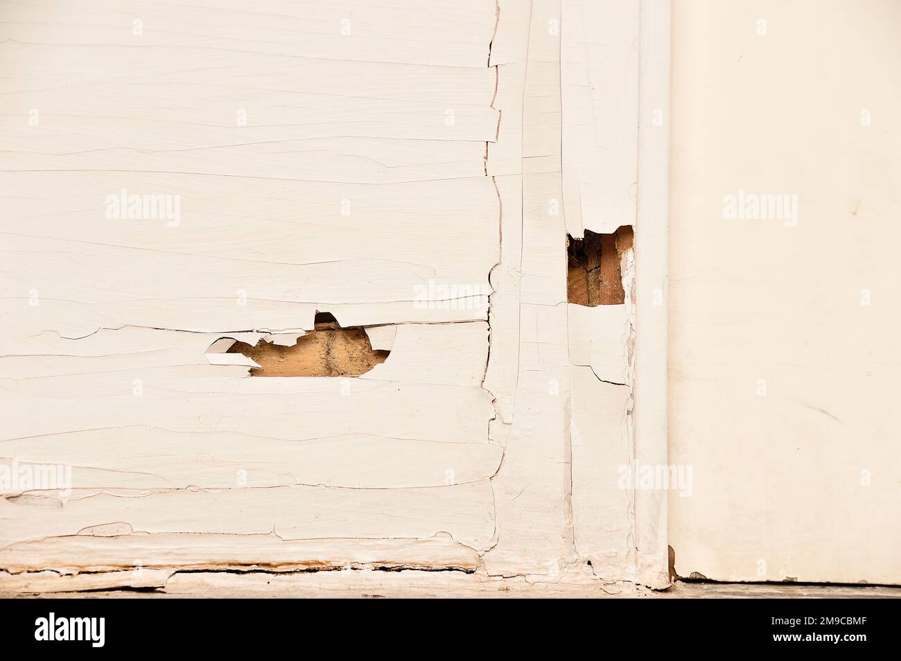 The wood door with termites damage Stock Photo Alamy