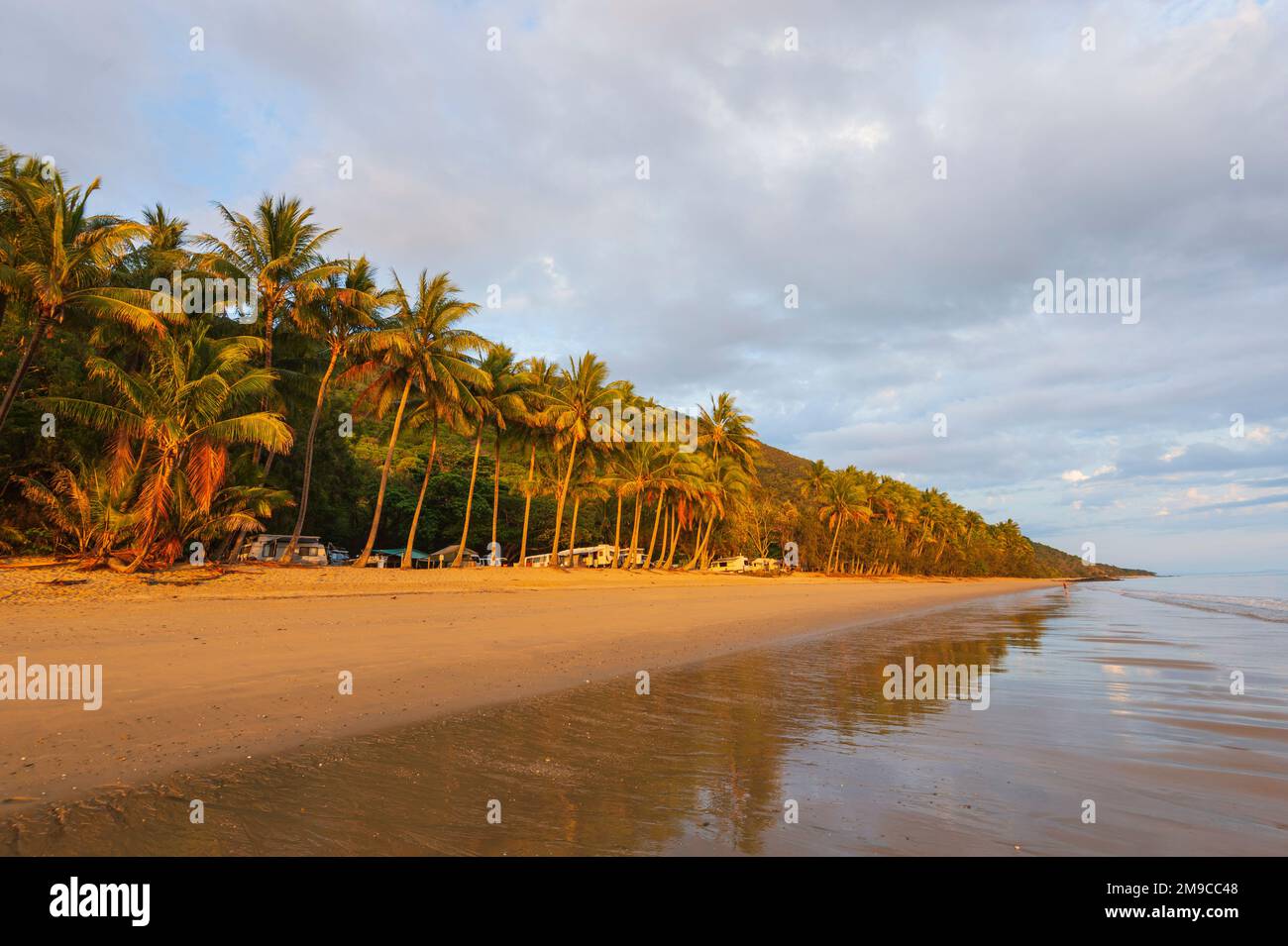 Campsite in the palm trees along the beach at Ellis Beach, Cairns