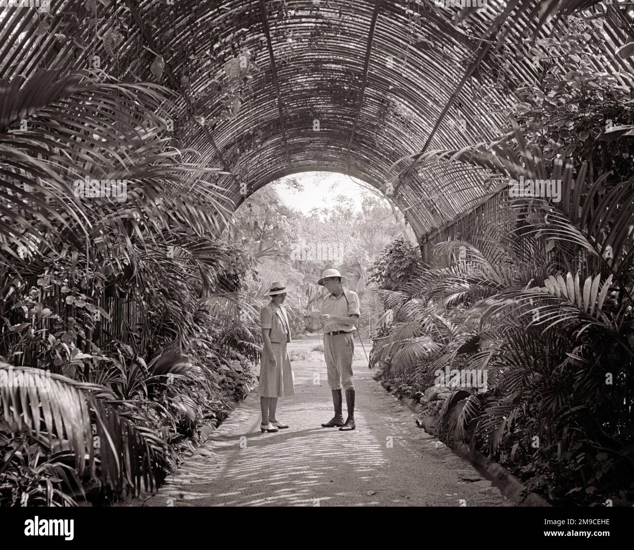 Pith helmet jungle hi-res stock photography and images - Alamy