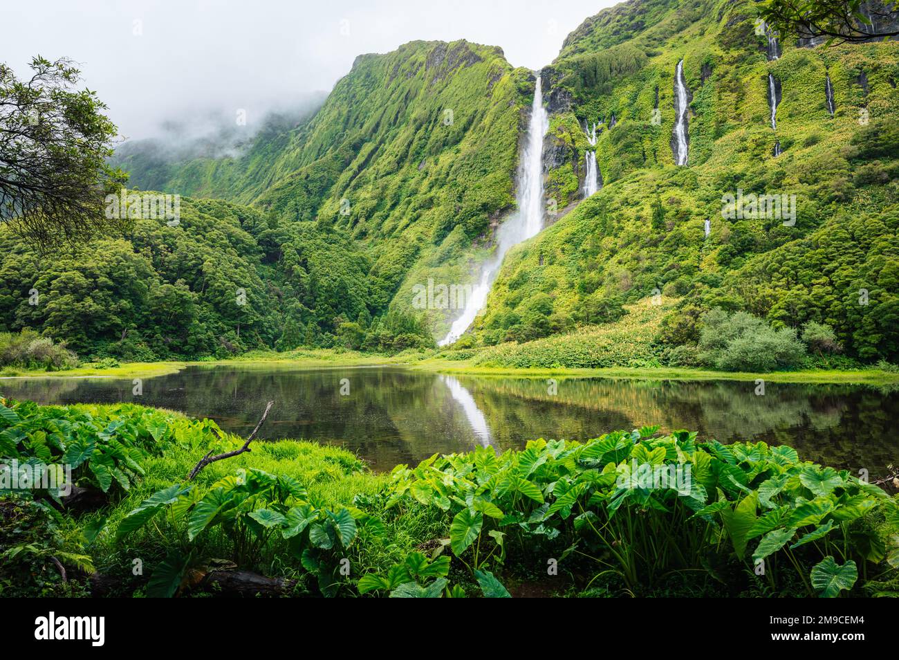 Waterfalls, green paradise hidden in Flores Island, Azores, Portugal Stock Photo