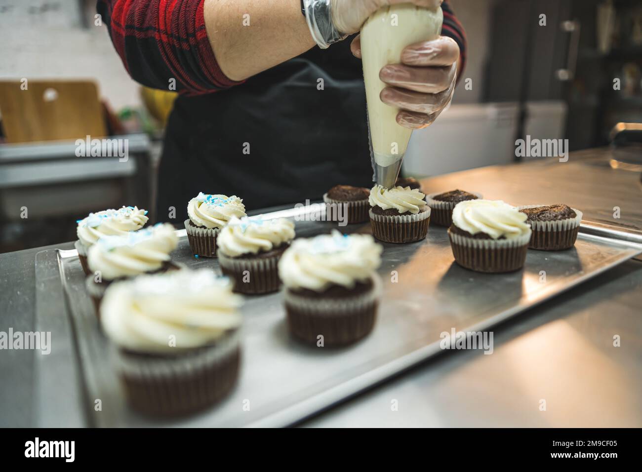 Female baked in black apron piping white frosting on chocolate cupcakes on siler tray. Professional baking. Horizontal indoor shot. High quality photo Stock Photo