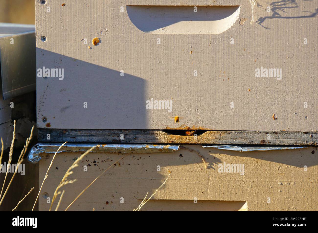 Stacks of pastelcoloured wooden bee hives in the wilds of the Waitaki