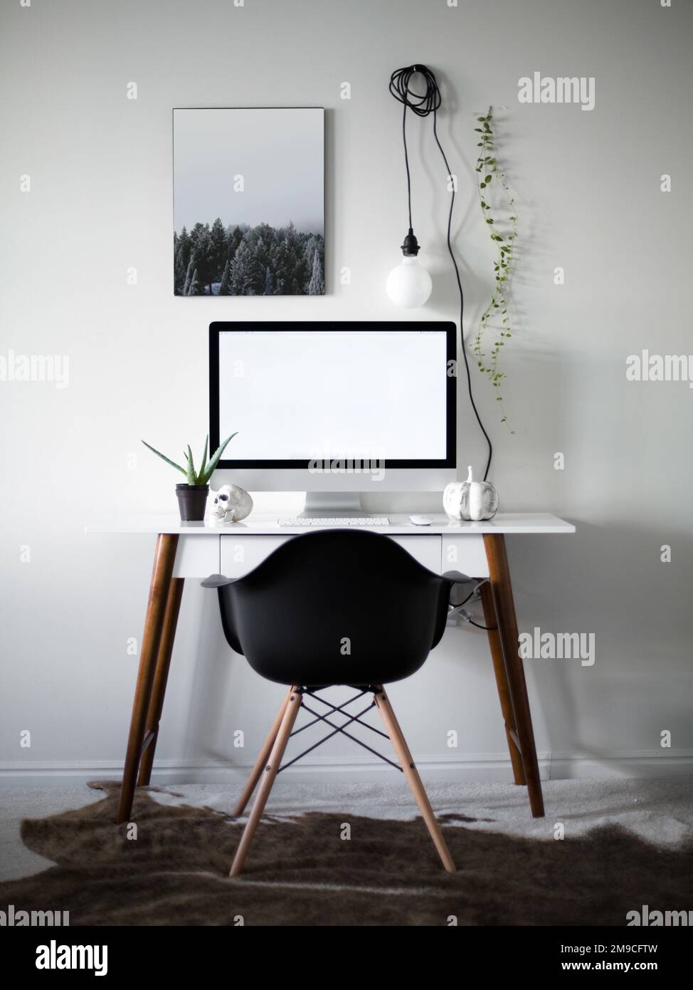 Minimal black and white office desk with plants and skulls decor Stock Photo