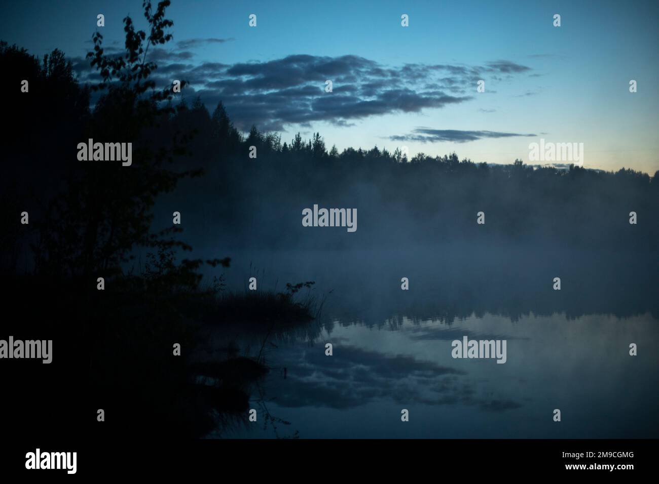Fog on lake before dawn. Morning fog in forest Stock Photo - Alamy