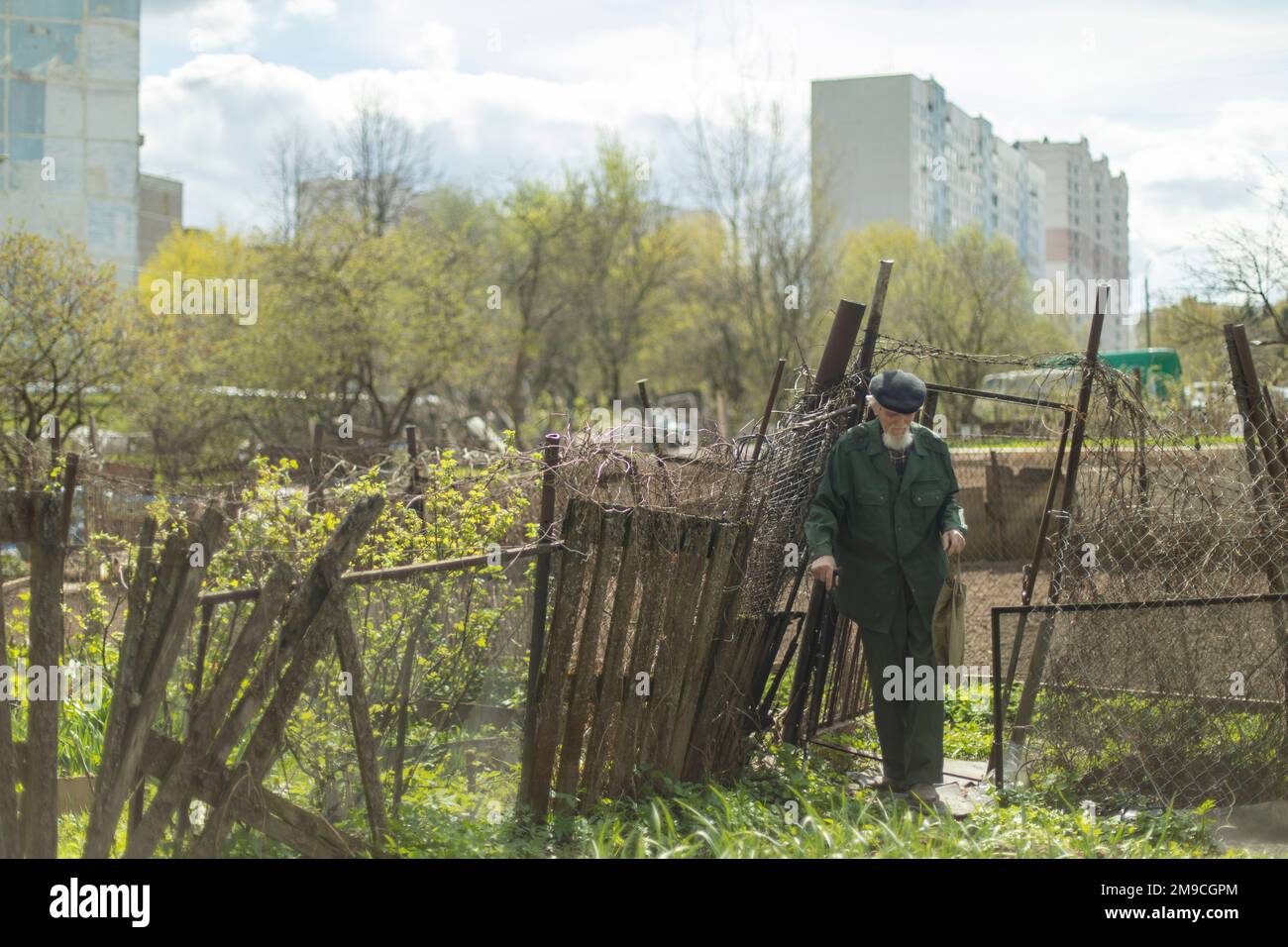Old man gardening hi-res stock photography and images - Alamy
