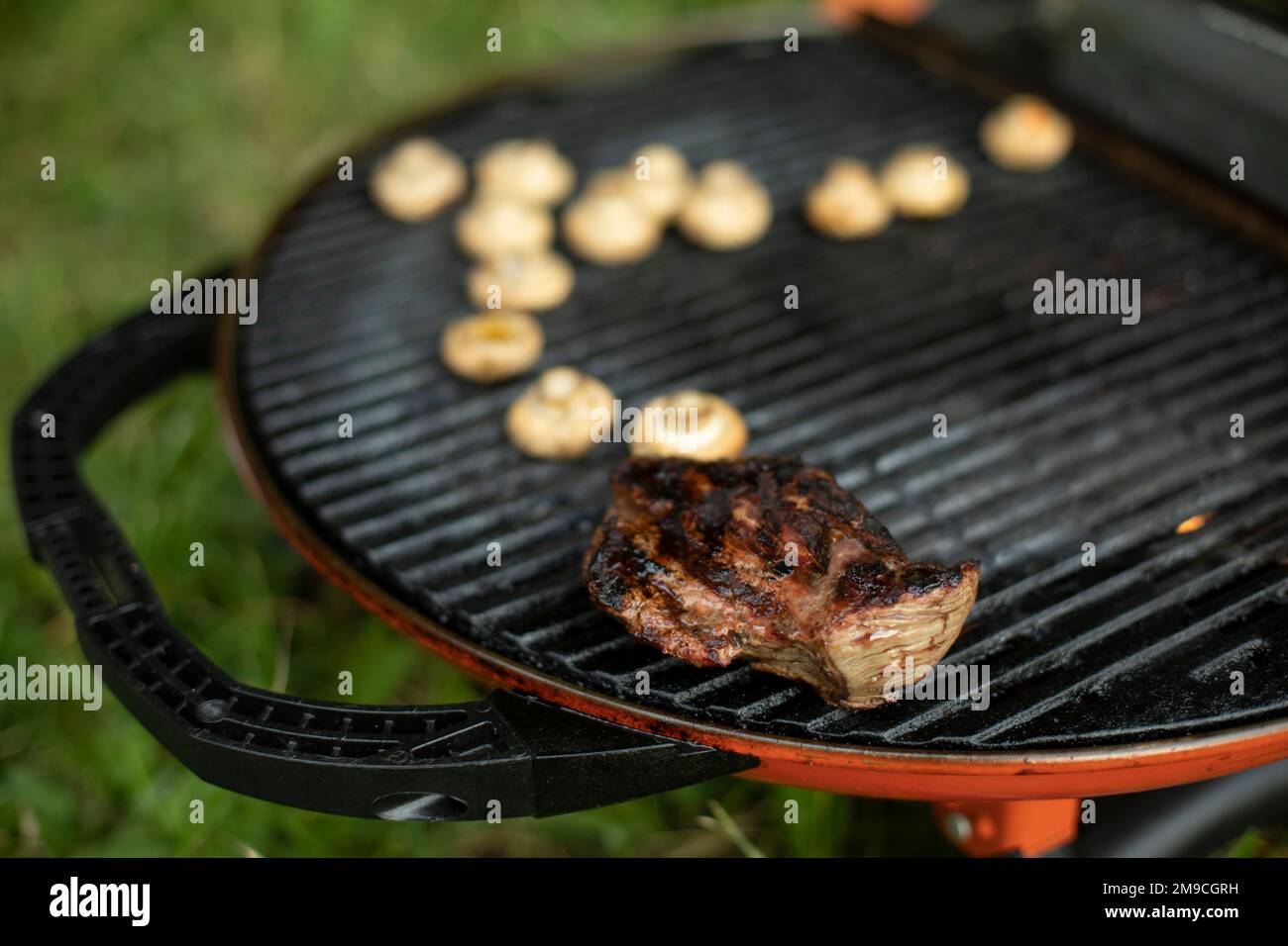 Meat at picnic. Cooking outdoors. Barbeccu in summer Stock Photo Alamy