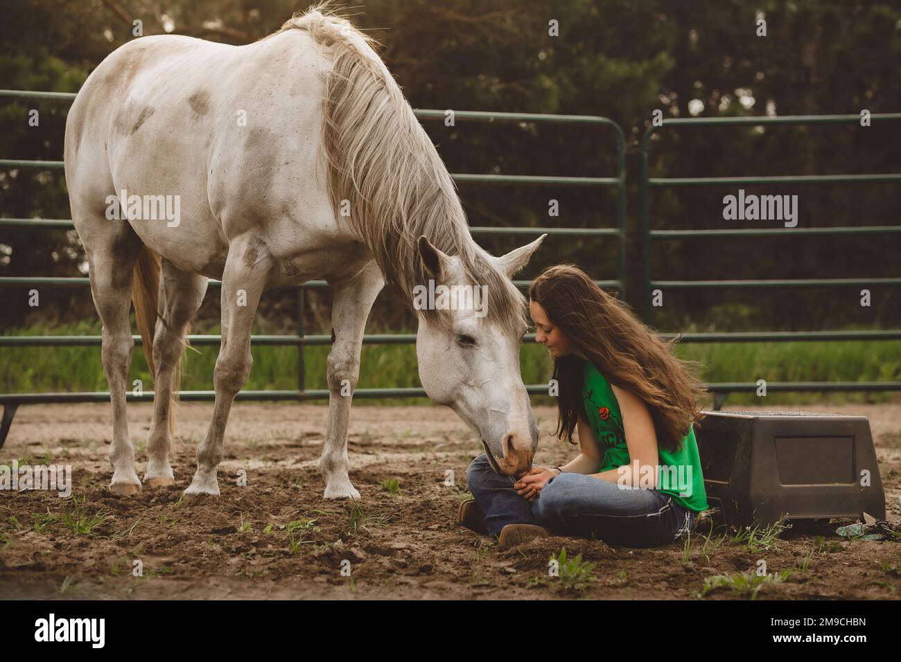 Horse gently touching young teen girls hand Stock Photo
