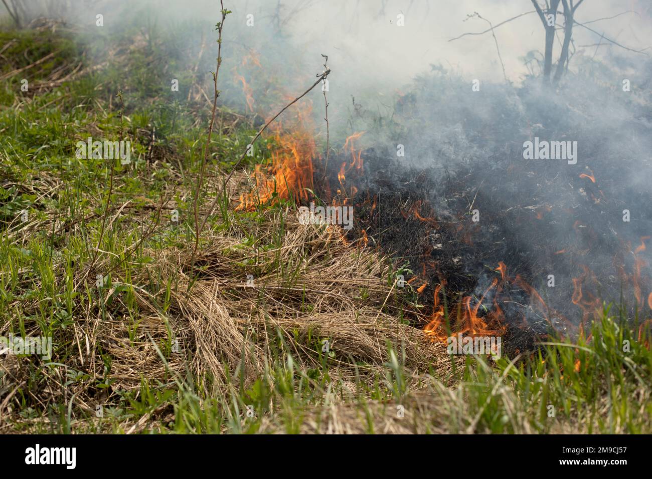 Black smoke from fire. Burning of garbage. Destruction of nature