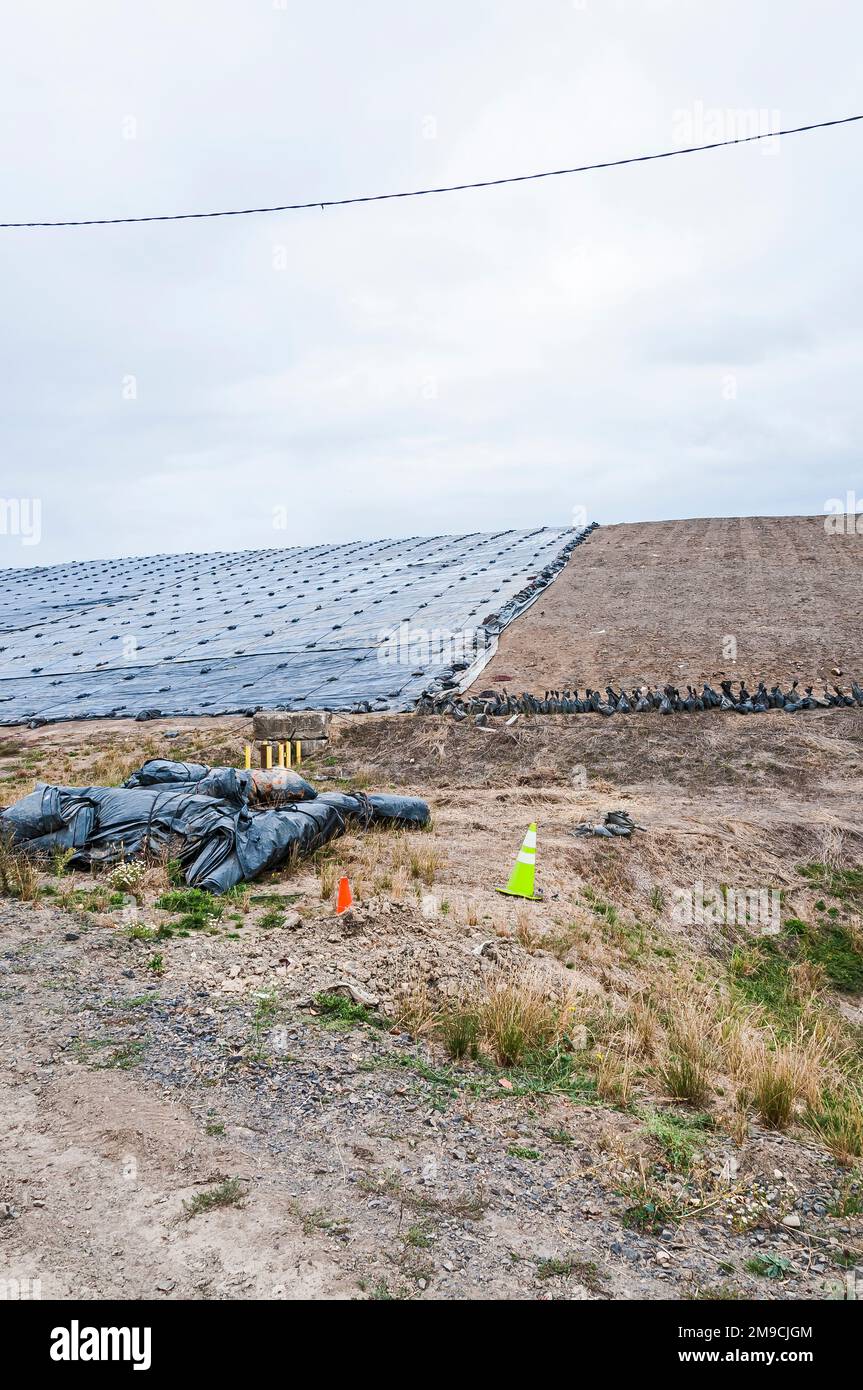 Weighted plastic sheeting covers a hillside in an active landfill
