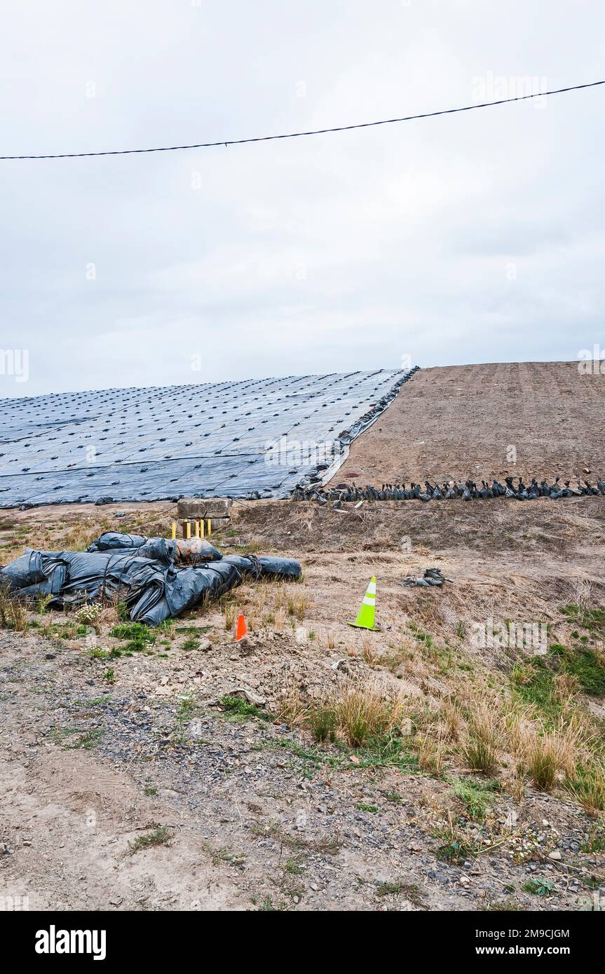 Weighted plastic sheeting covers a hillside in an active landfill.  Probably PVC geomembranes.  Shows an uncovered area, and rolls of PVC. Stock Photo