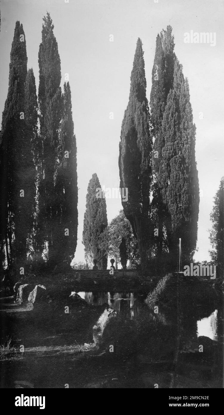 Cypress trees viewed across a lake in an Italian garden Stock Photo