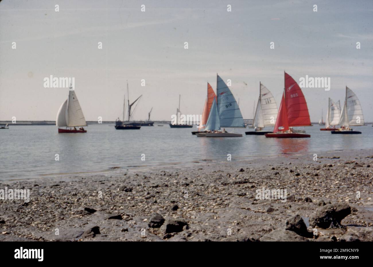 Yachts with different coloured sails at Burnham on Crouch, Essex. Stock Photo