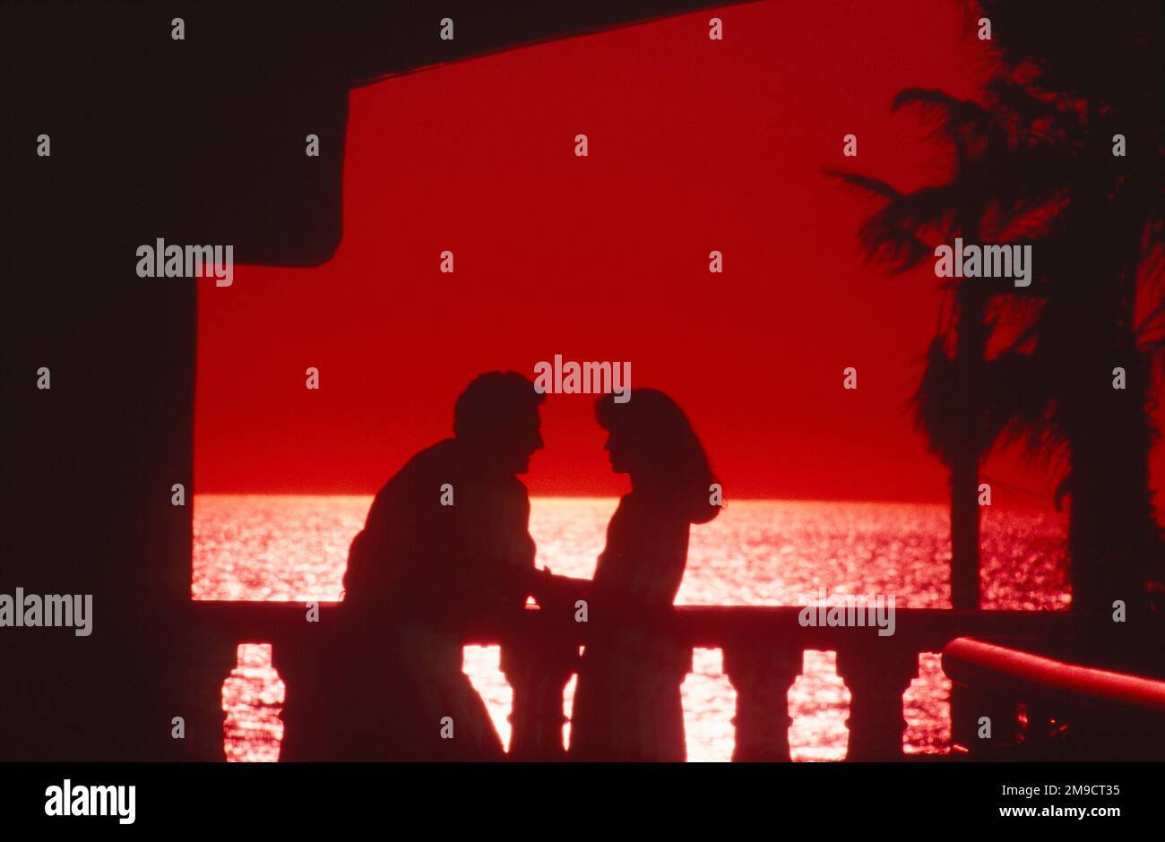 A couple silhouetted standing on the balcony next to the railing with a ...