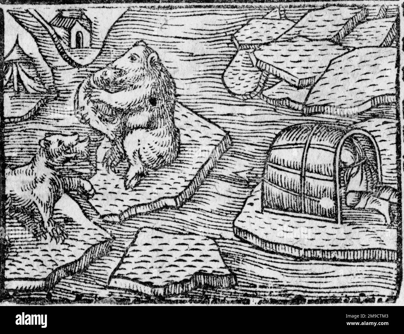 Hunting Polar Bears Stock Photo - Alamy