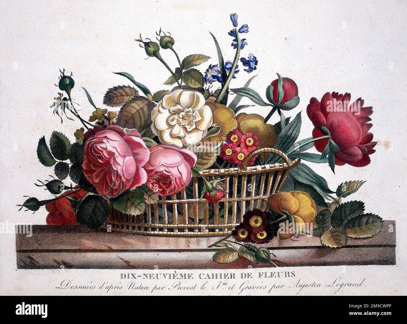 19th century Basket of Flowers Stock Photo