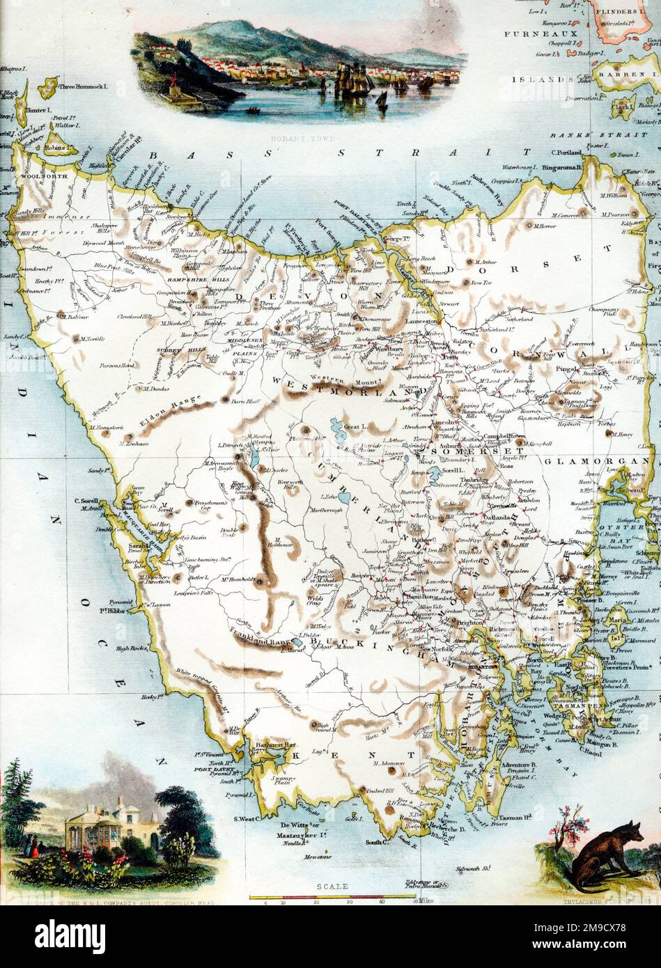 19th century Map of Tasmania Stock Photo