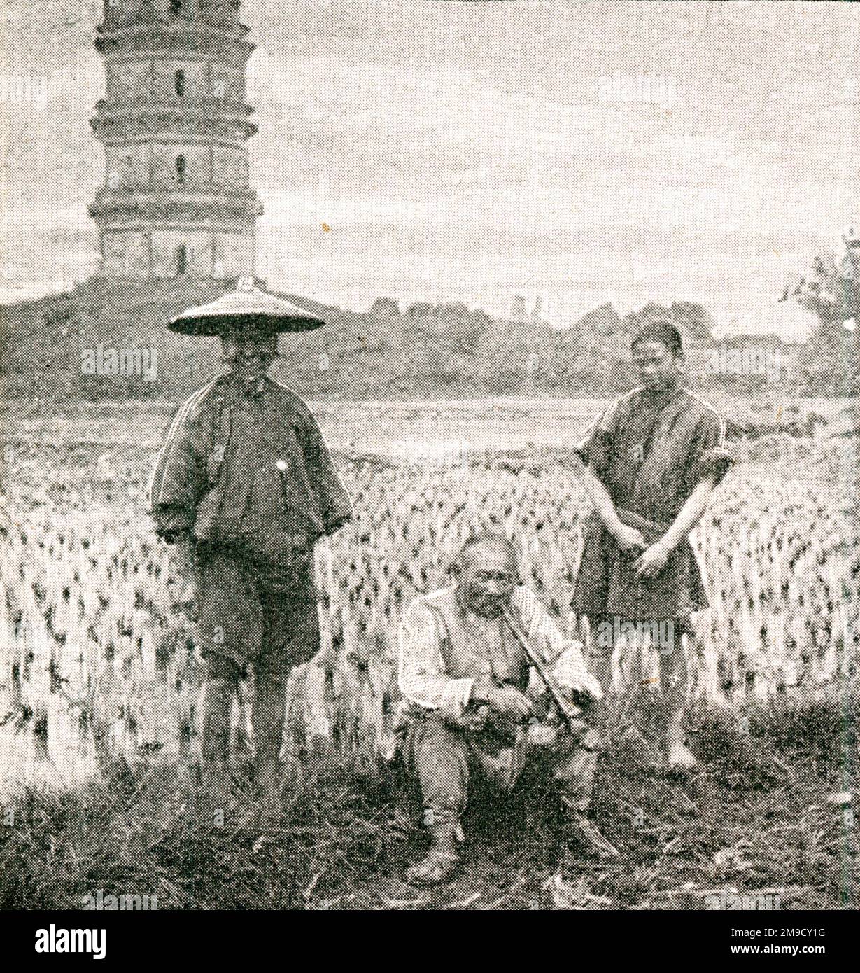 China old rice farmers stock photo alamy