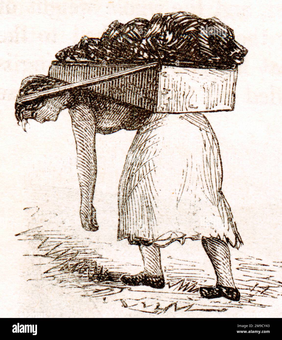 Women Coal Bearing In the East Scotland Mines Stock Photo