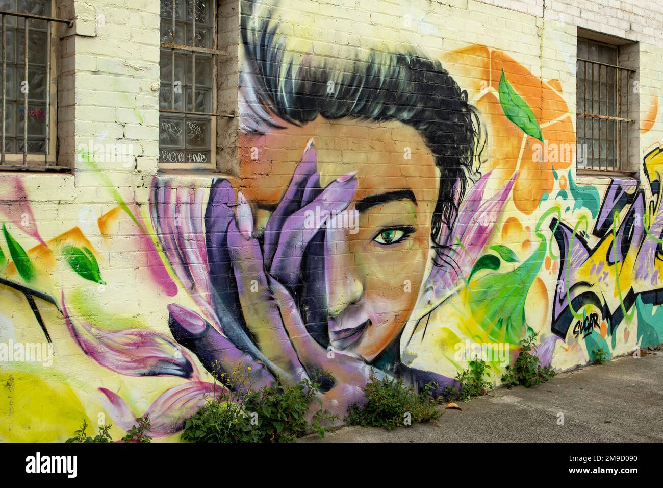 Purple Fingered Girl Street Art, North Richmond, Victoria, Australia Stock Photo