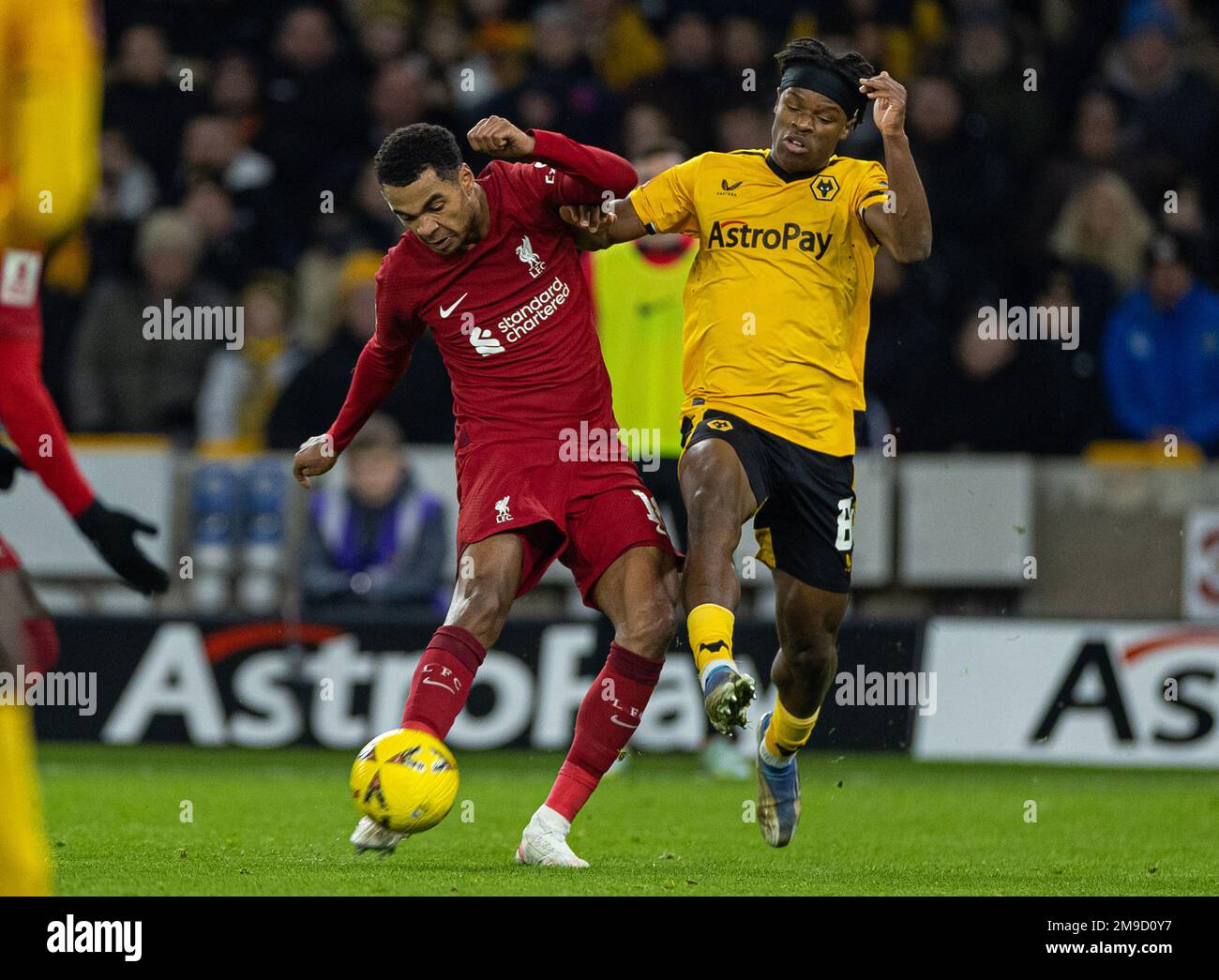 Wolverhampton. 17th Jan, 2023. Liverpool's Cody Gakpo (L) is challenged by Wolverhampton Wanderers' Dexter Lembikisa during the FA Cup 3rd Round Replay match between Wolverhampton Wanderers and Liverpool in Wolverhampton, Britain, Jan. 17, 2023. Credit: Xinhua/Alamy Live News Stock Photo