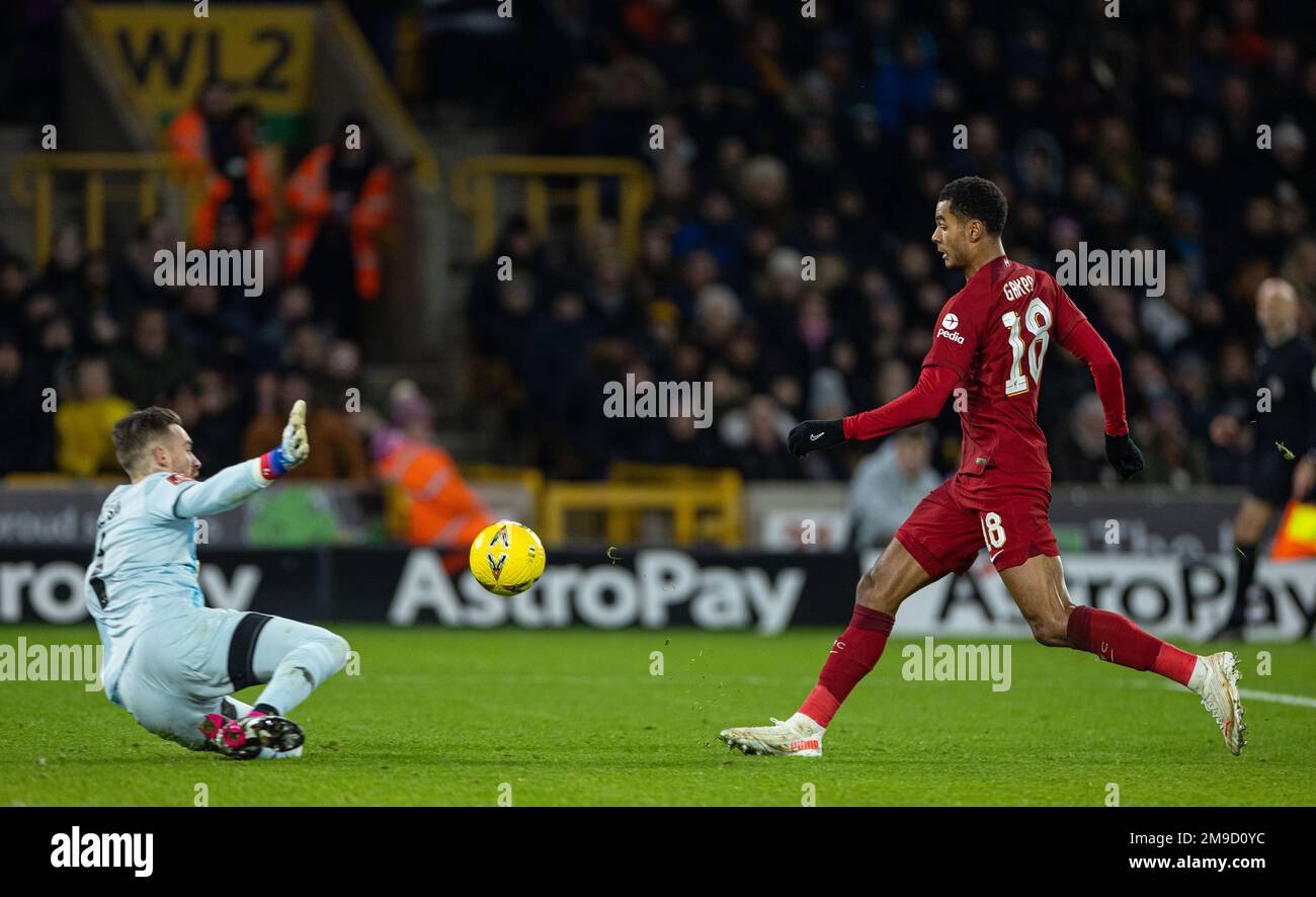 Wolverhampton. 17th Jan, 2023. Liverpool's Cody Gakpo (R) shoots during the FA Cup 3rd Round Replay match between Wolverhampton Wanderers and Liverpool in Wolverhampton, Britain, Jan. 17, 2023. Credit: Xinhua/Alamy Live News Stock Photo