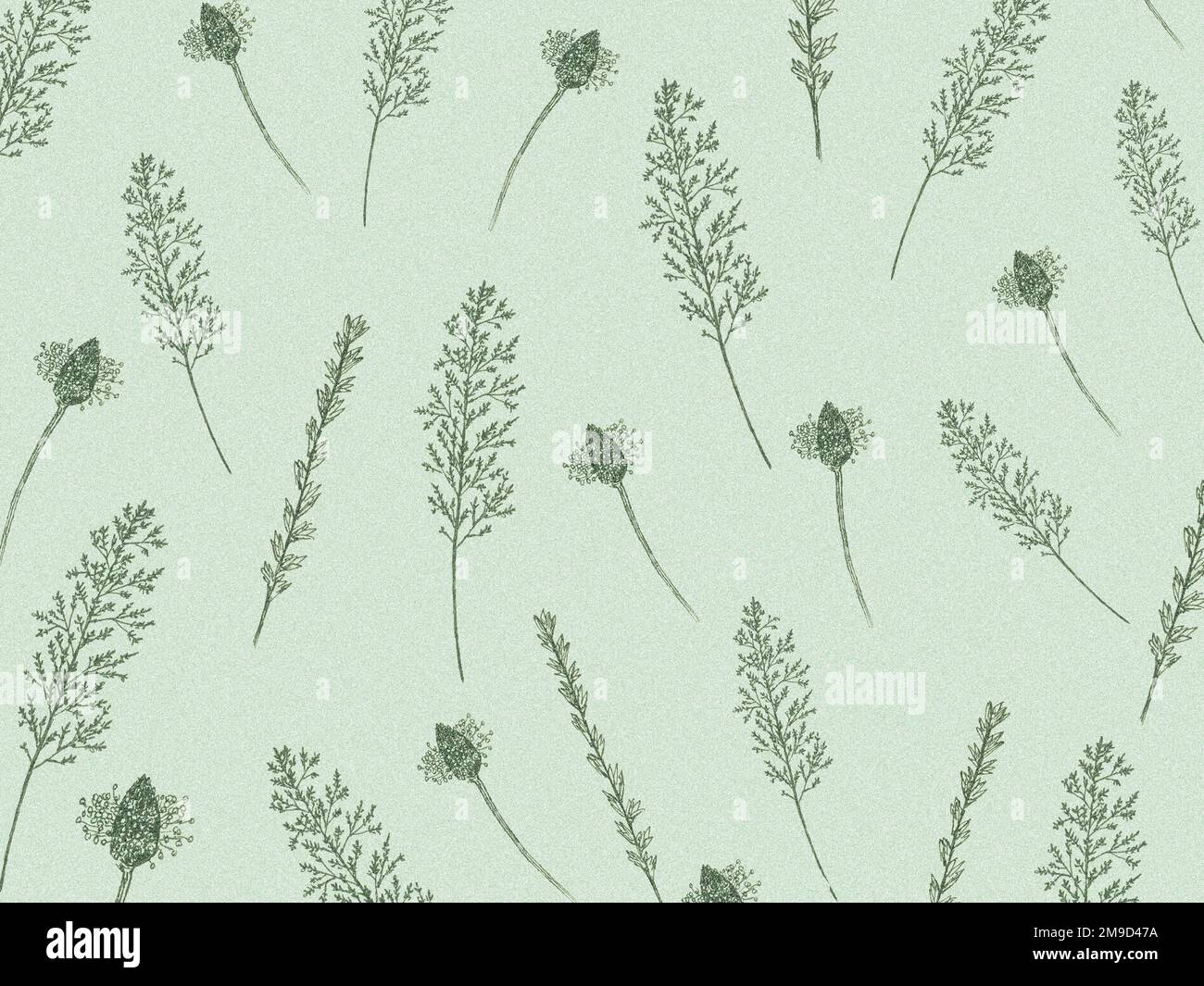 Delicate grasses repeating pattern Stock Photo - Alamy