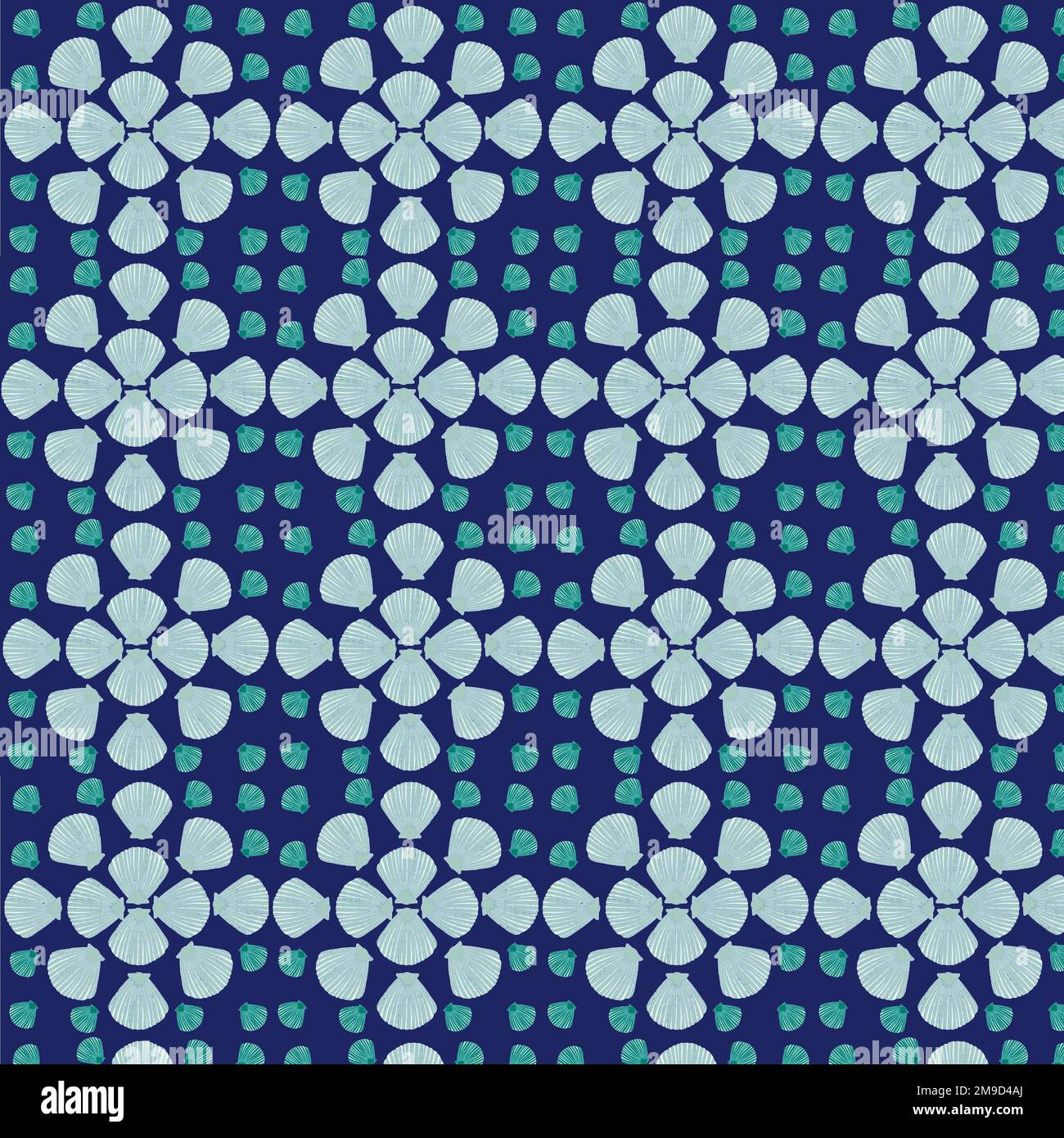 Patterns of shells hi-res stock photography and images - Alamy