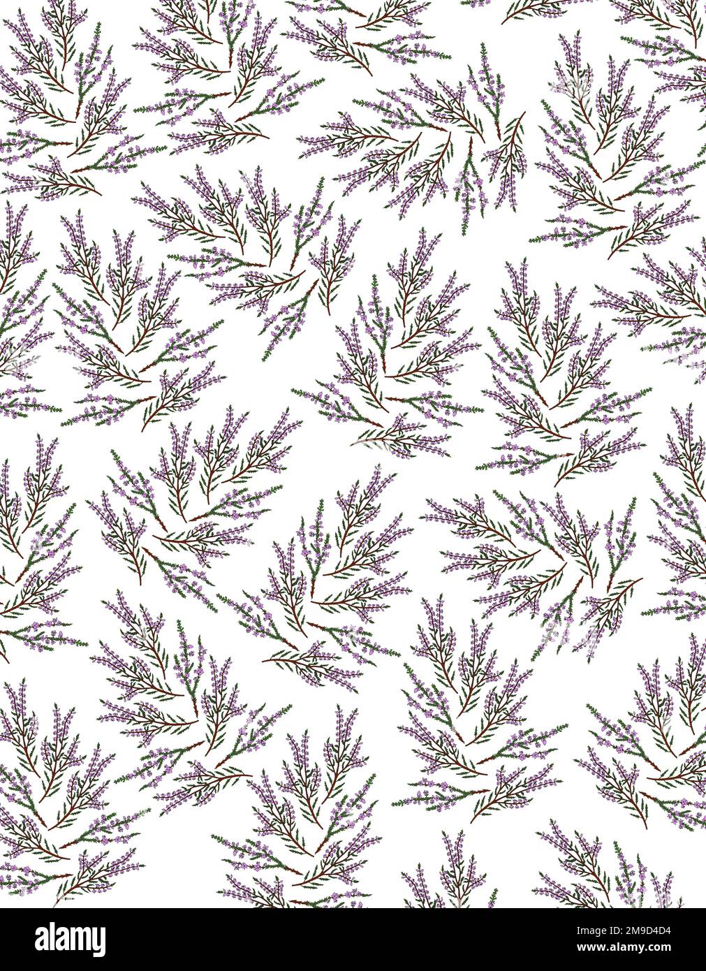 Pattern featuring sprigs of purple heather. Stock Photo