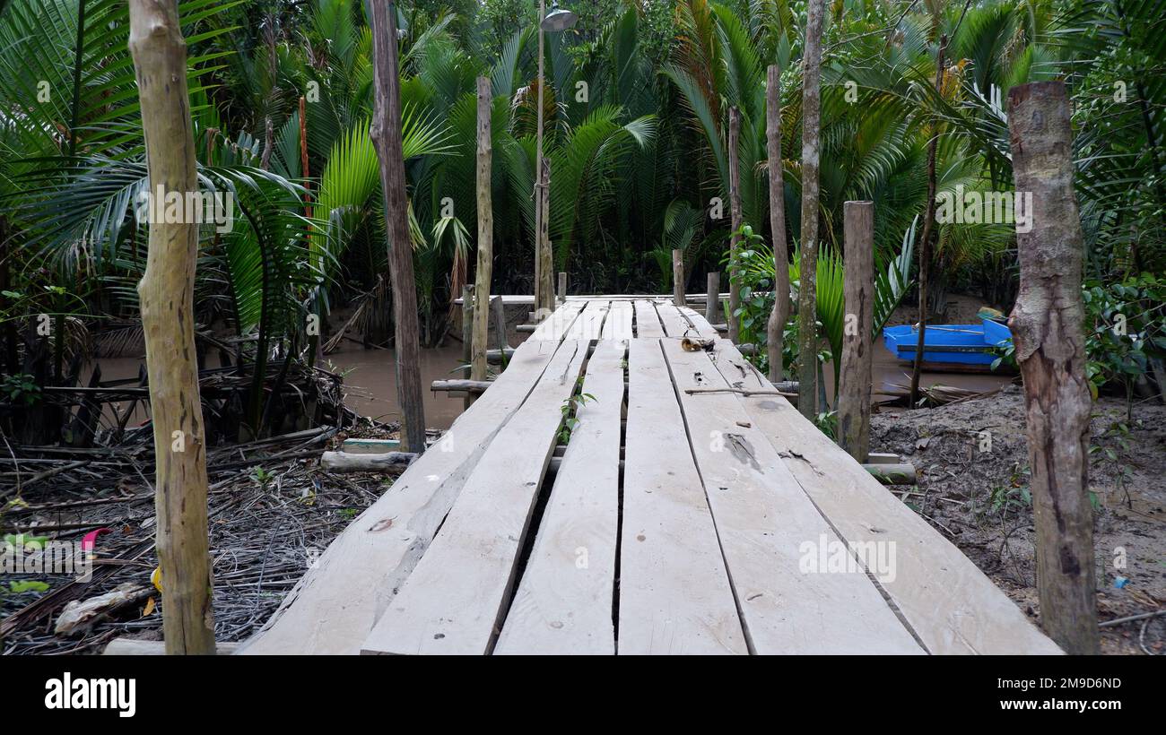 Wooden Plank Bridge, By The River With Nipa Forest In The Background