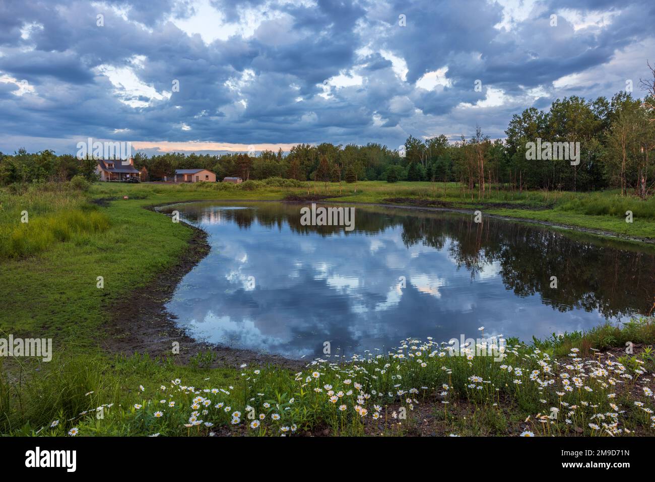 Northwoods homestead on a pretty June morning. Stock Photo