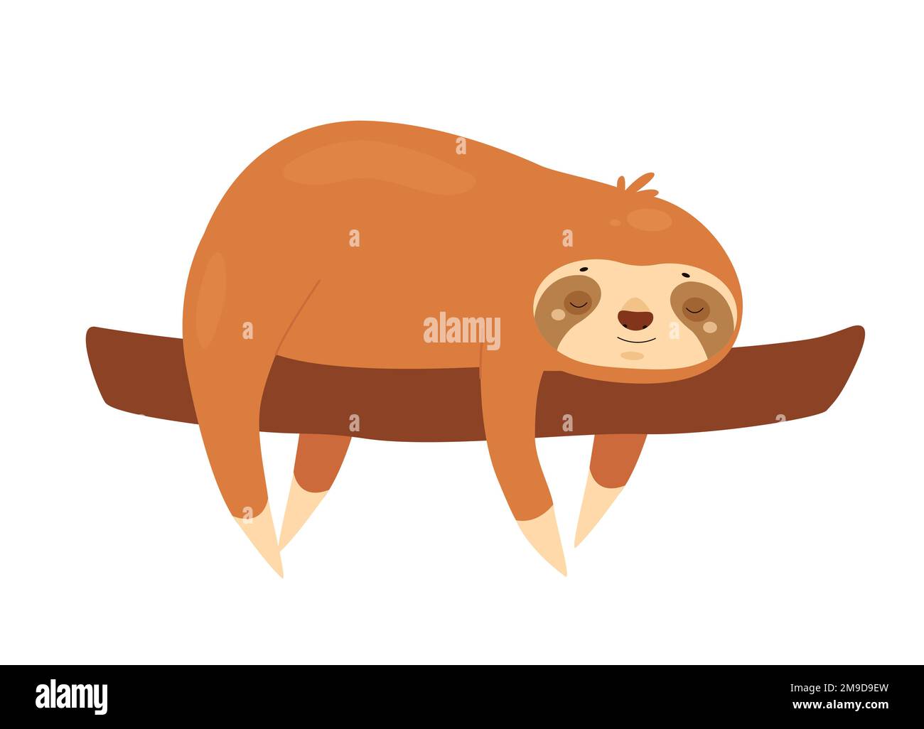 Sleeping sloth on tree branch. Jungle lazy bear, slow moving animal